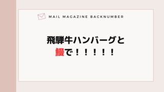 飛騨牛ハンバーグと鰻で！！！！！